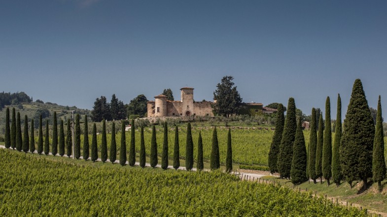 Best wineries in Tuscany has contributed in producing some of the finest wines in the world.