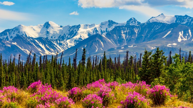 Yukon Snowy Mountain in Canada in May.