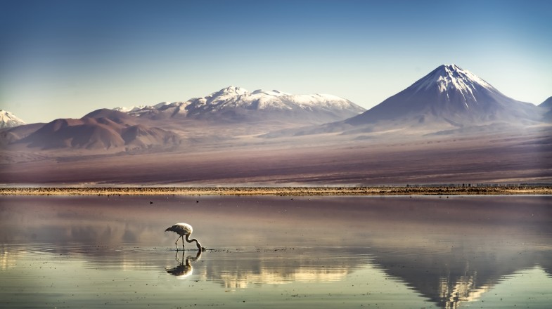 Chile in June: All You Need to Know
