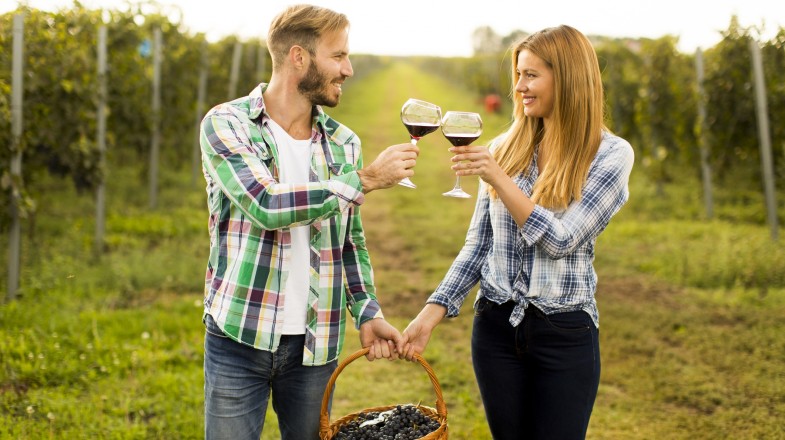 During harvest season in Colchagua Wine Valley, you can combine a wine tasting tour with grape-picking The Colchagua Valley allows travelers to take in the great outdoors whilst sipping on a glass of mouth-watering Chilean wine.