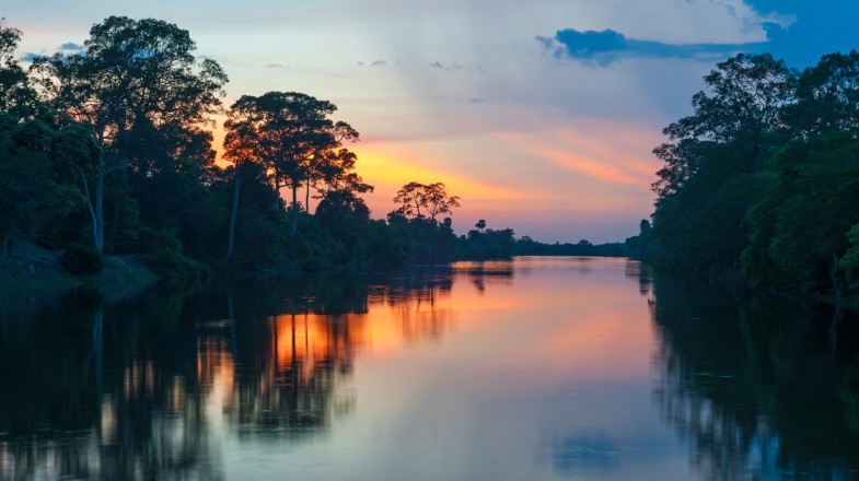 Amazon Forest in Colombia in October