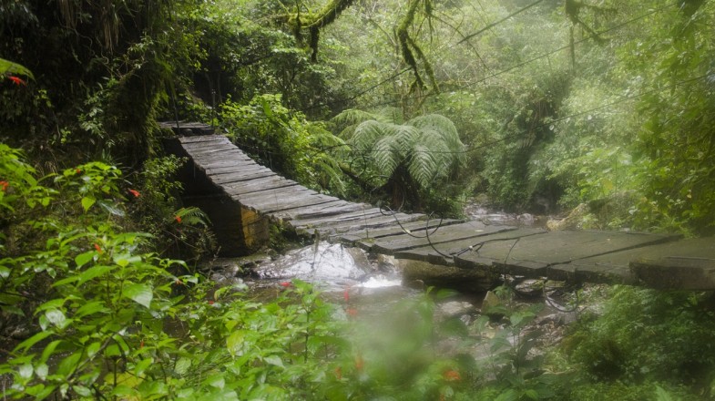 Colombia in September: A Mix of Sun and Rain