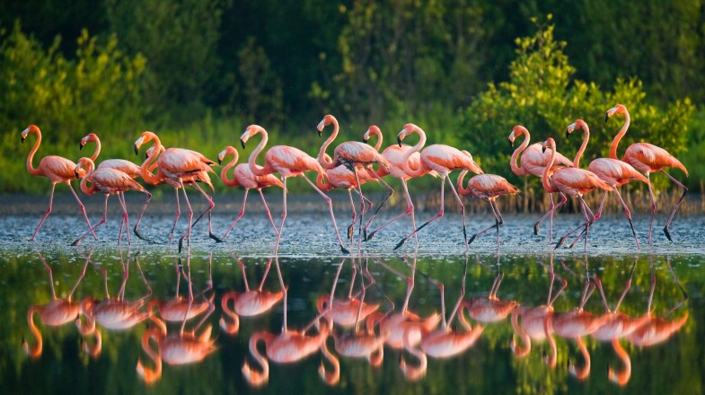 Cuba in August:  Rainy Season Travel Tips