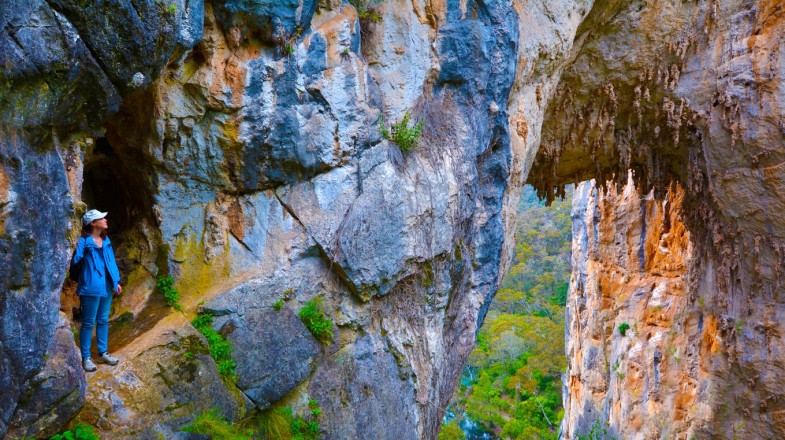 There are several day trips from Sydney that uncovers many attractions in Sydney.