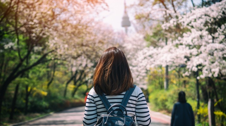 10 Great Day Trips From Seoul