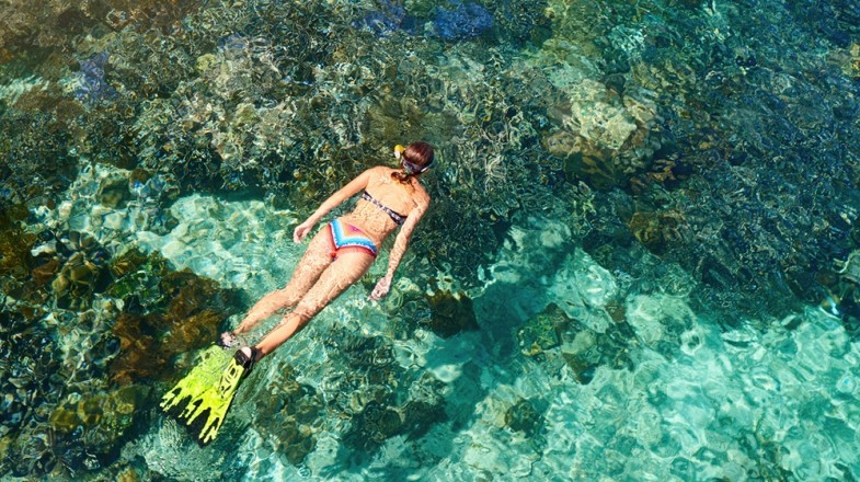 There are many paradisiacal shores for Costa Rica diving