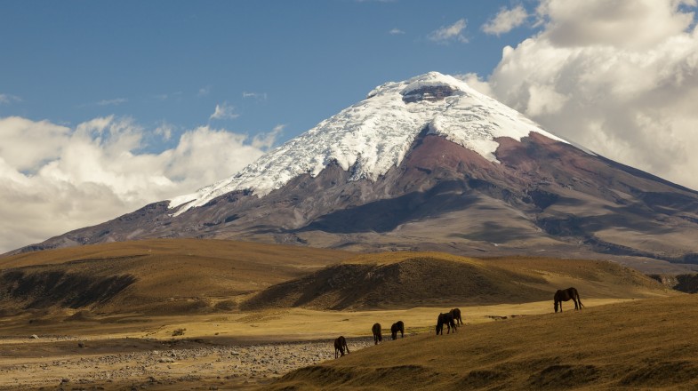 Ecuador in July: Fun Outdoor Explorations