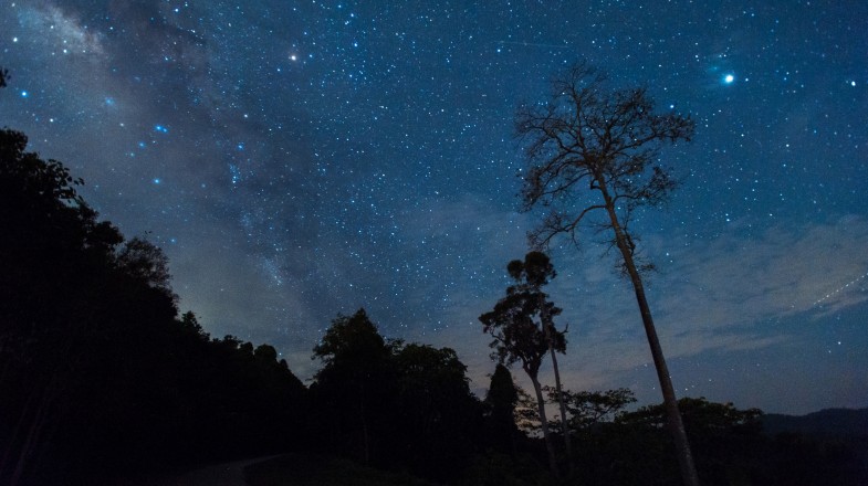 Elqui Valley offers vineyard-covered hills and amazing stargazing opportunities making Elqui Valley tour a perfect holiday to relax and unwind.