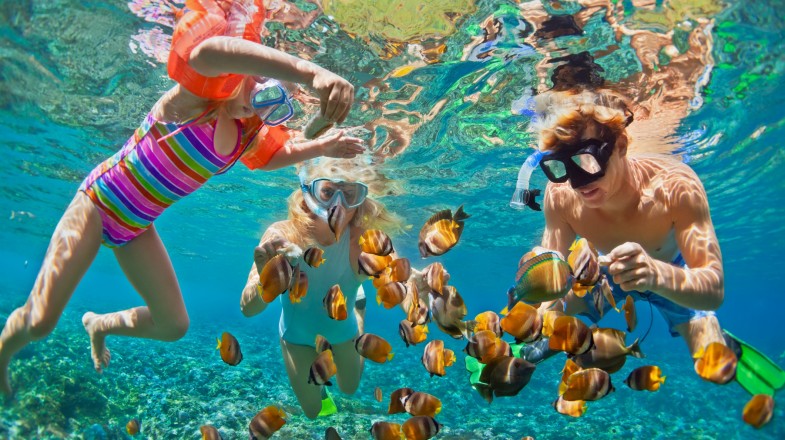 Top 5 Destinations for Families