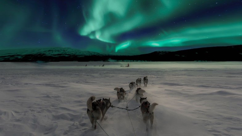 Traveling the snowy Lapland landscape in Finland in January.