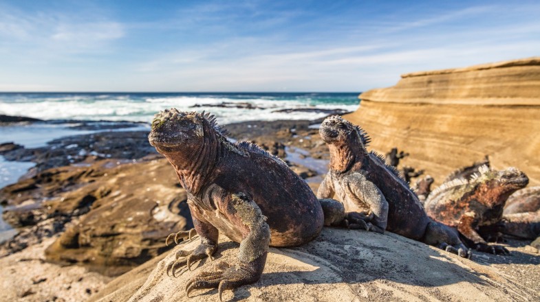 One week in Galapagos: Top 3 Recommendations