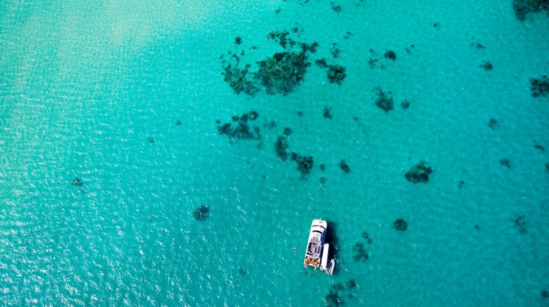 From diving in the Great Barrier Reef to riding a railway through the scenic rainforest, there are a lot of things to do in Cairns.