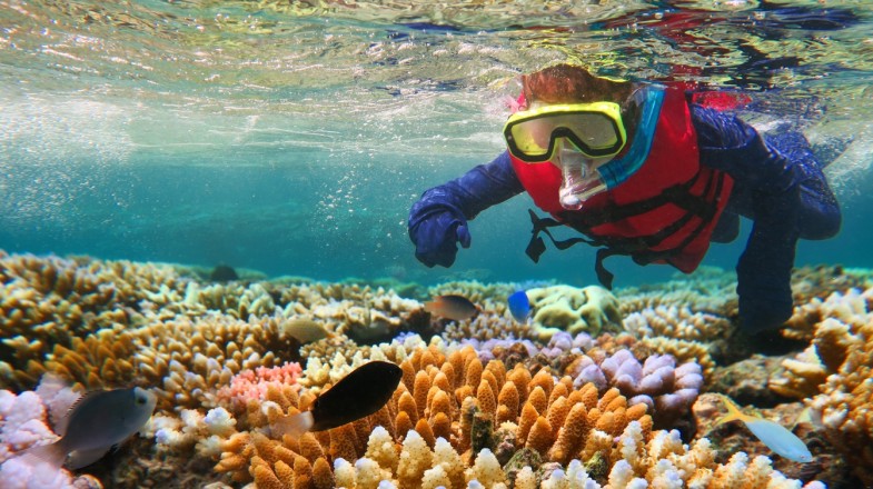 The Great Barrier Reef is the world's largest collection of living organisms.