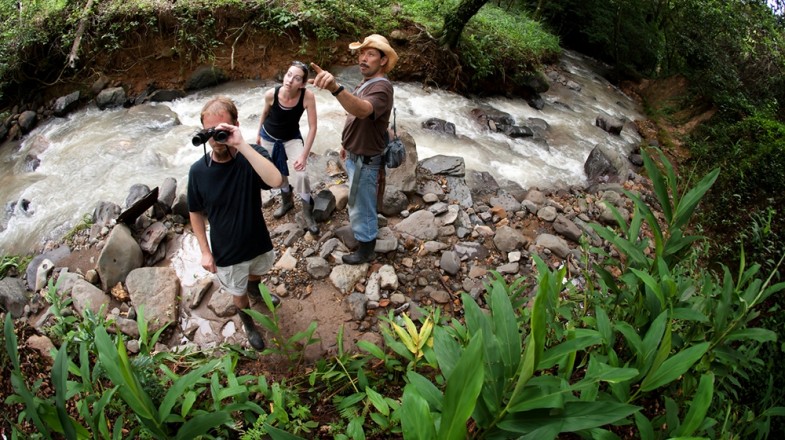 The rainforests provide many trails for hiking in Costa Rica.