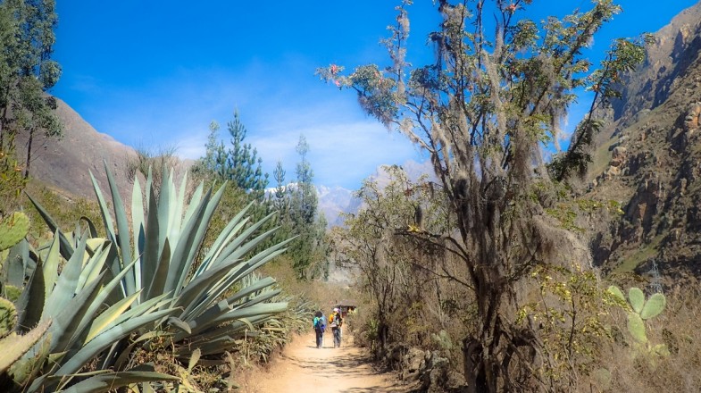Hiking in Peru can take you through some of the most diverse trails in the world