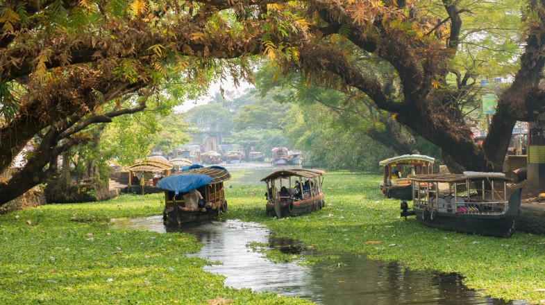 Tourists house boating in the backwaters of Kerela during summer in India.