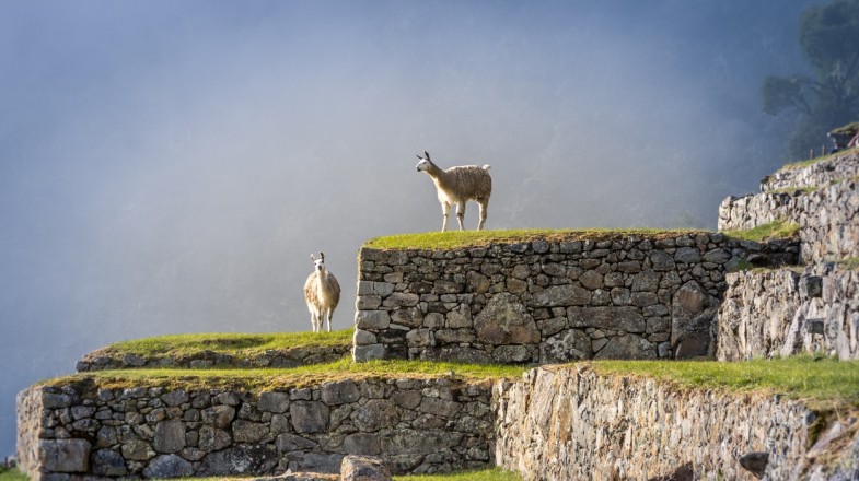 Huchuy Qosqo Trek: The Shortest Trail to Machu Picchu