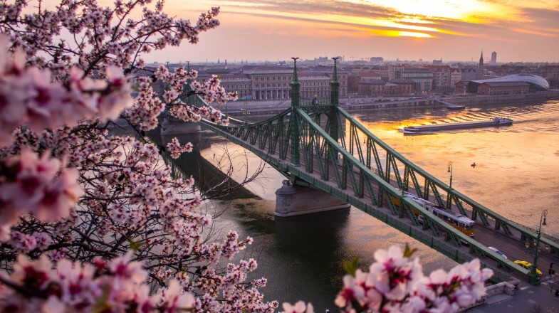 Spring flowers blooming in Budapest in Hungary in March.