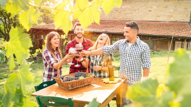 Hunter Valley is a popular wine region near Sydney that offers more than just a stroll through the vineyards.