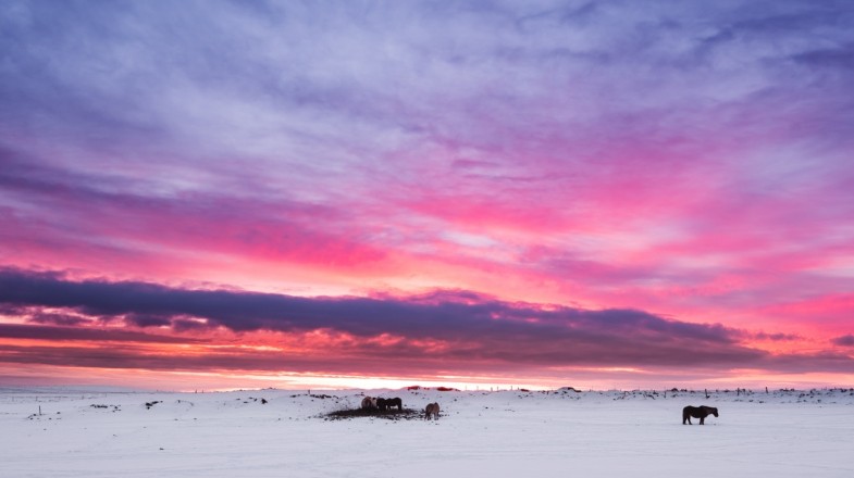Iceland in winter can be a wonderful sight to see