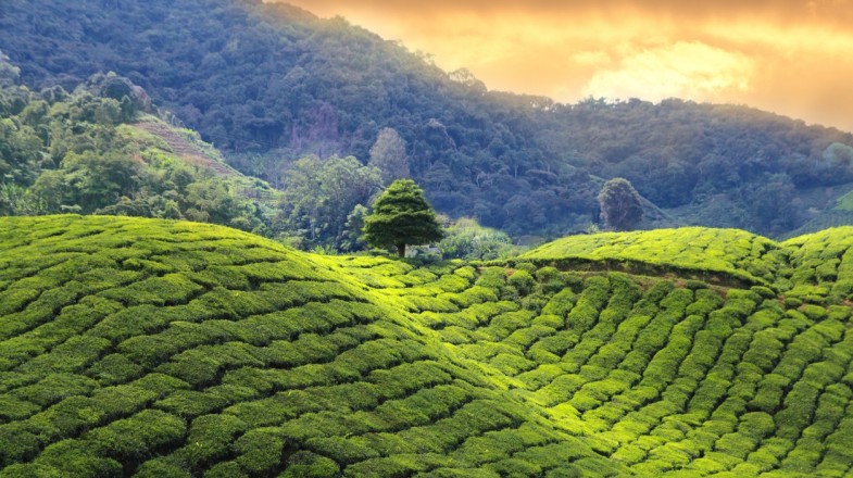 India in August: Hot Tips for Travelers