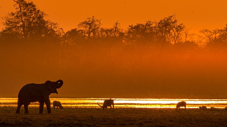 India in June: Weather, Tips and More