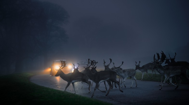 Ireland in December: Weather, Travel Tips & More!
