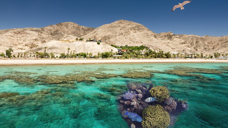 Winter in Israel: Weather, Destinations & Activities