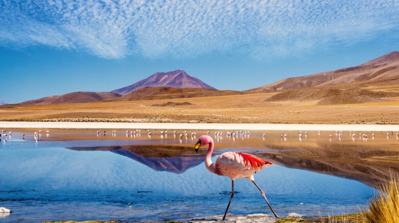 Great Bolivia Itineraries: How Many Days to Spend?