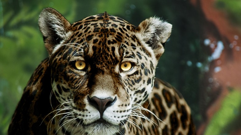 Top 7 National Parks in Argentina