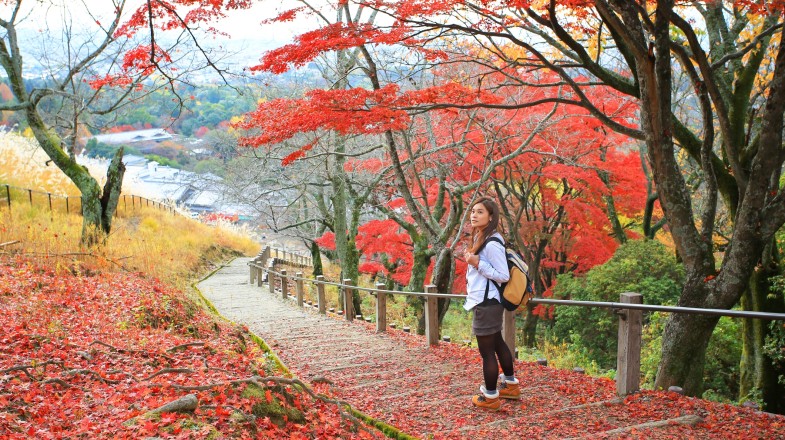 Woman on Mount Wakakusa trail in Japan for a 12-day trip during fall season