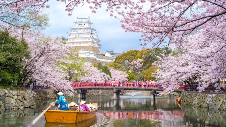 People sail on boat at Hyogo with cherry blossom on Japan group tours.