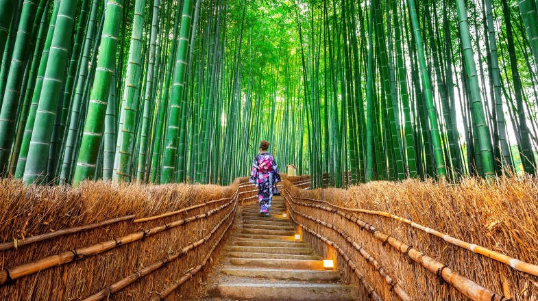 A woman dressed in traditional kimono explores the Bamboo forest on an itinerary for 21 days in Japan.