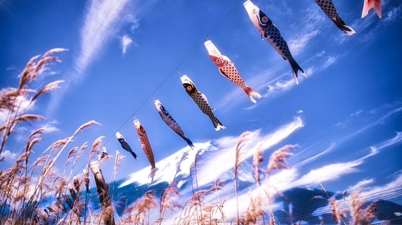 Traditional festival decoration during the Golden Week in Japan in May.