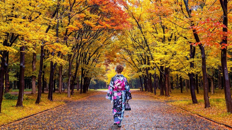 Japan In October Travel Tips For Fall Bookmundi