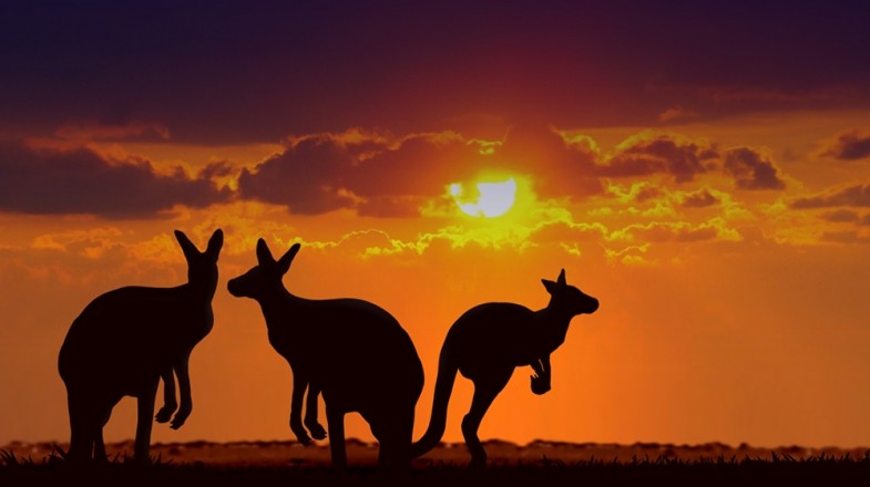 8 Best Destinations in the Australian Outback