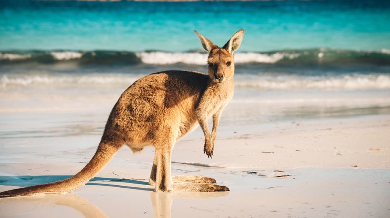 5 Best Beaches in Oceania