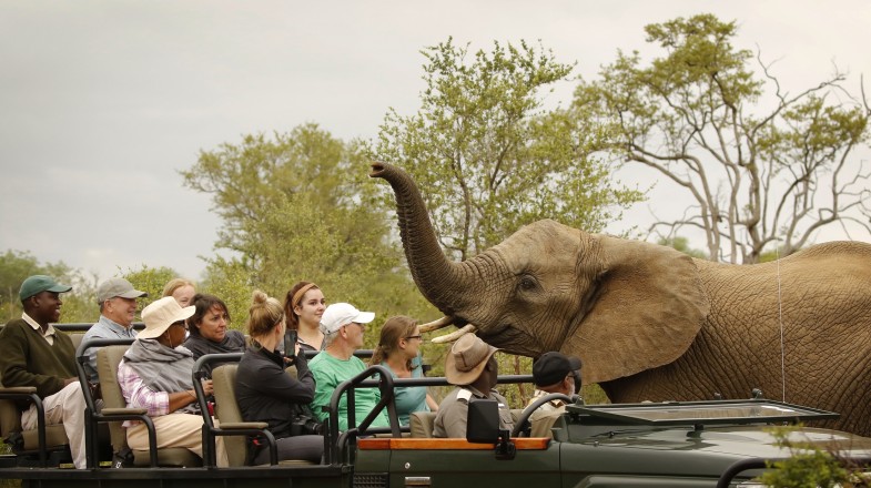 Wildlife safari in Kenya in February