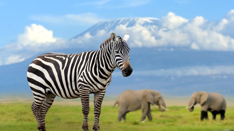 Kenya in May: Low Season Travel Tips