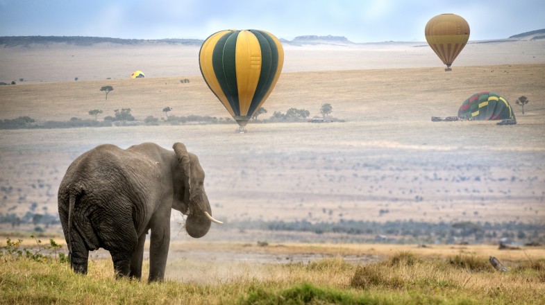 Kenya in September: Mild Weather and Clear Skies