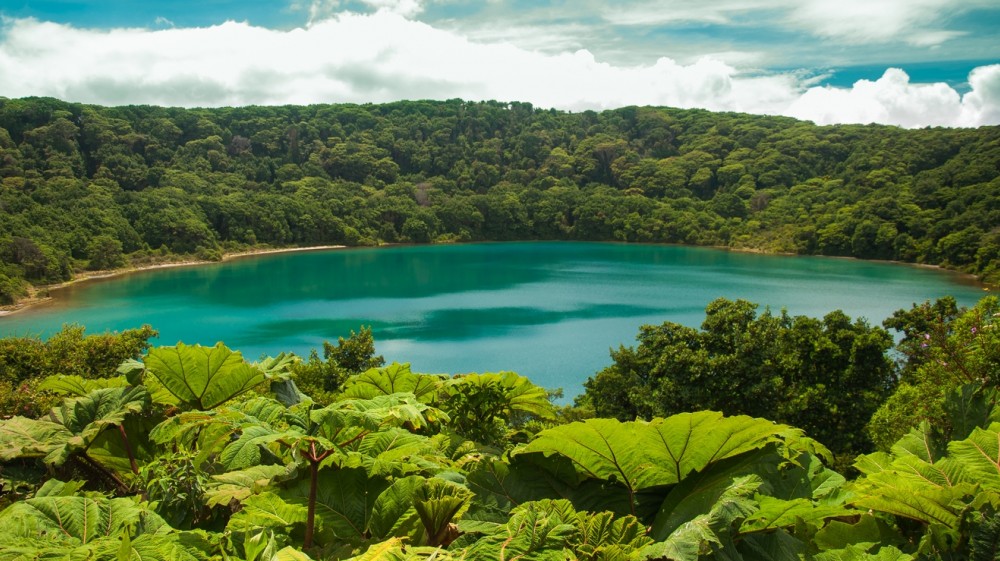Costa Rica Is Gifted With An Ideal Geographical Location Resulting In A Rich Concentration Of Flora And Fauna Costa Rica Is Gifted With An Ideal Geographical Location Resulting In A Rich Concentration Of Flora And Fauna