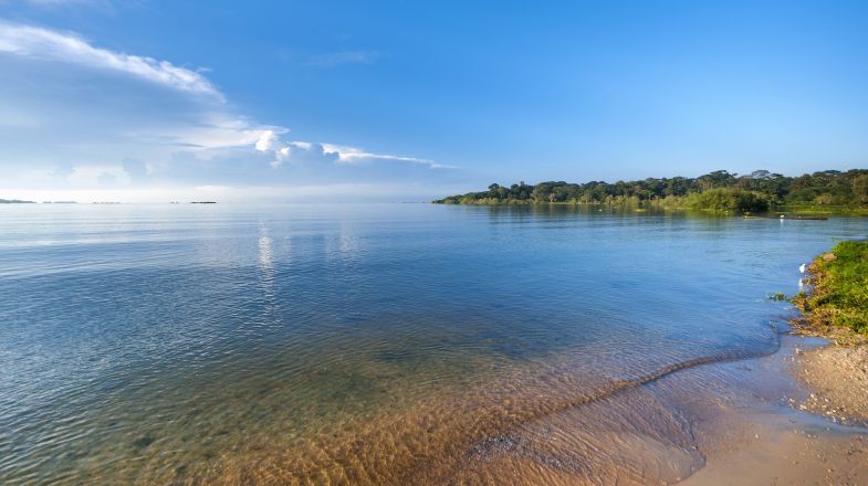 Best Time to Visit Uganda