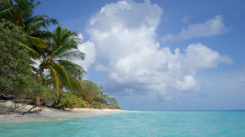 Maldives in August: Weather, Travel Tips and More