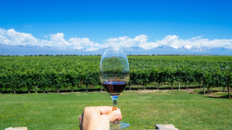 A hand holding wine glass in Mendoza in Argentina in January.