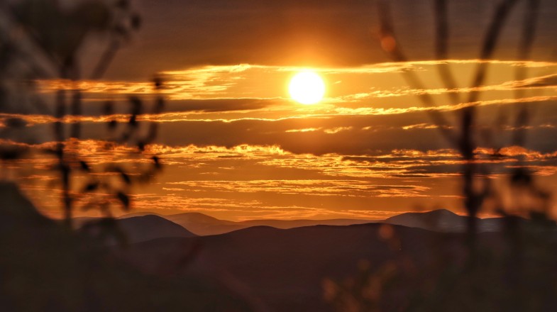 Sweden in May: Weather, Tips, and More