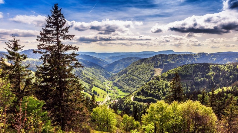 Mittelweg is a 9 day long hiking trail in Germany