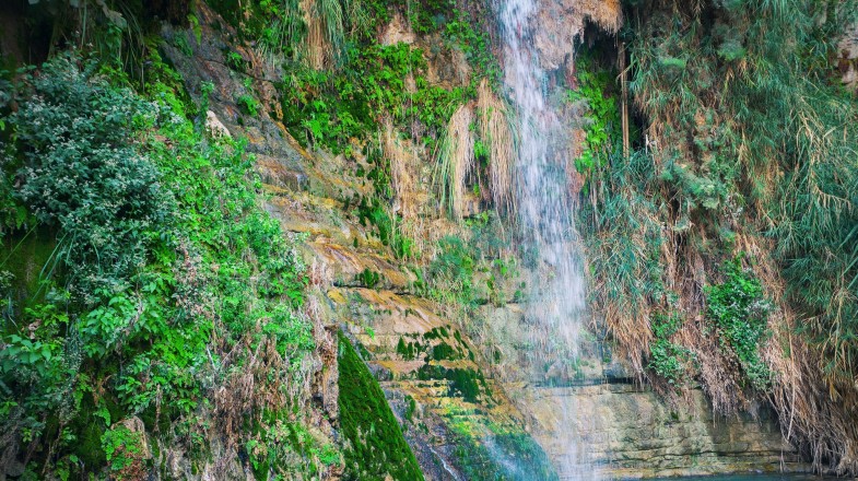 David's fall in Ein Gedi in Israel in April.