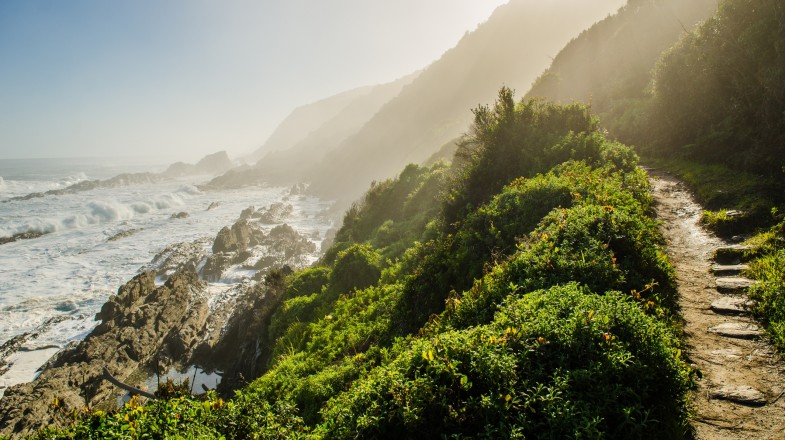Located entirely inside the Tsitsikamma National Park, the Otter trail is right in the middle of the famous Garden Route.