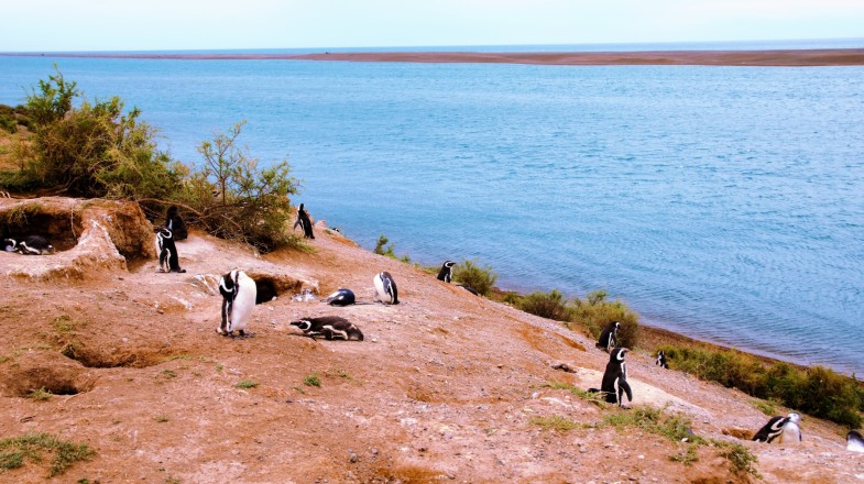 Patagonia in March: Weather, Tips & Wildlife Adventure