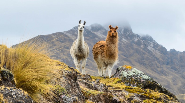 Peru in July: Weather and Travel Tips
